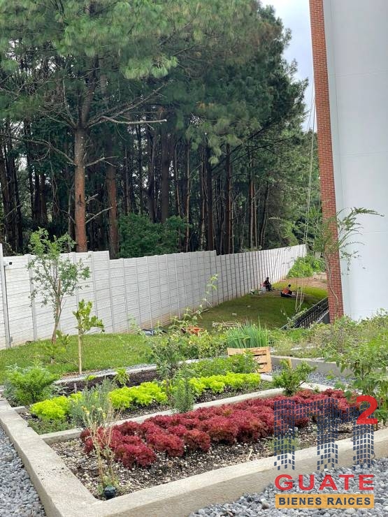 M2Guate-R8252-Apartamento-en-Renta-Guatemala-Zona-16