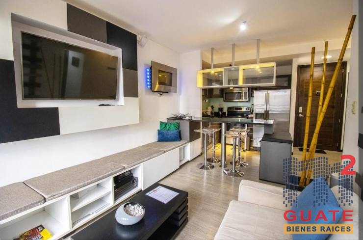 $950.00 - Zona 10 - Apartamento en Renta - R9613