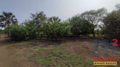 M2Guate-V8625-Terreno-en-Venta-Santa-Rosa-Taxisco