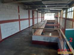 M2Guate-R9995-Bodega-en-Renta-Guatemala-Zona-24