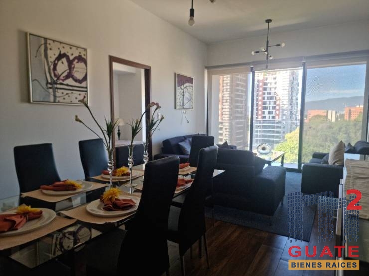 M2Guate-V9980-Apartamento-en-Venta-Guatemala-Zona-10