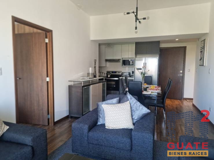 M2Guate-R10189-Apartamento-en-Renta-Guatemala-Zona-10