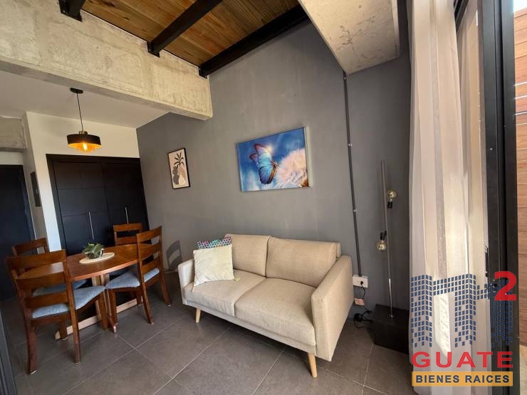 M2Guate-R10192-Apartamento-en-Renta-Guatemala-Zona-10