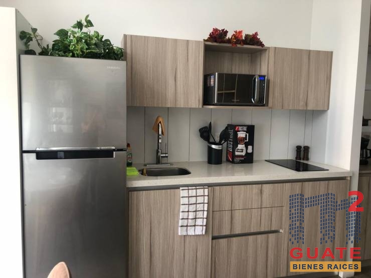 M2Guate-R10228-Apartamento-en-Renta-Guatemala-Zona-13