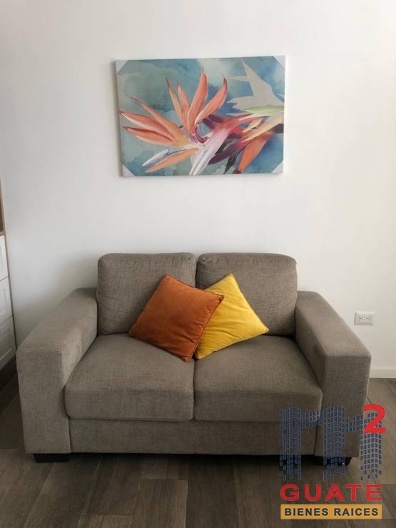 M2Guate-R10228-Apartamento-en-Renta-Guatemala-Zona-13