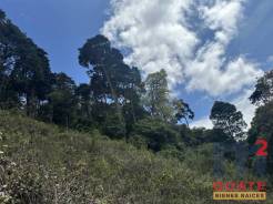 M2Guate-V10004-Terreno-en-Venta-Carretera-a-El-Salvador