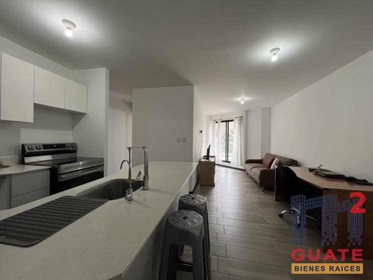 M2Guate-V10033-Apartamento-en-Venta-Guatemala-Zona-11