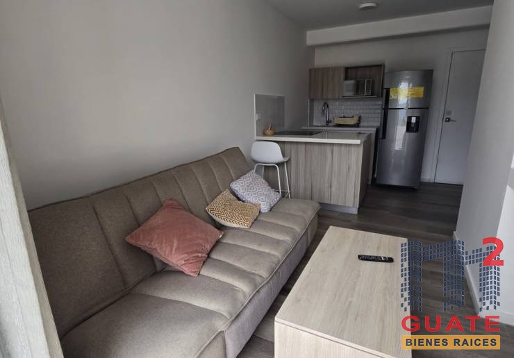M2Guate-R10335-Apartamento-en-Renta-Guatemala-Zona-13