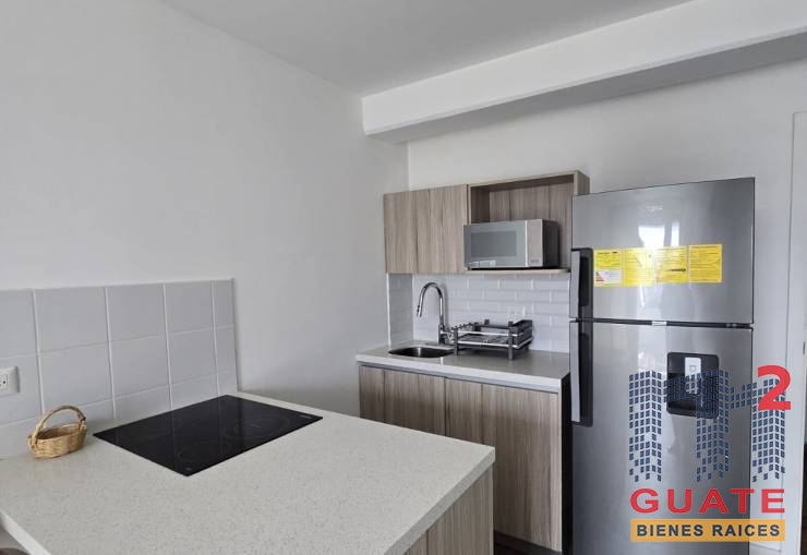 M2Guate-R10335-Apartamento-en-Renta-Guatemala-Zona-13