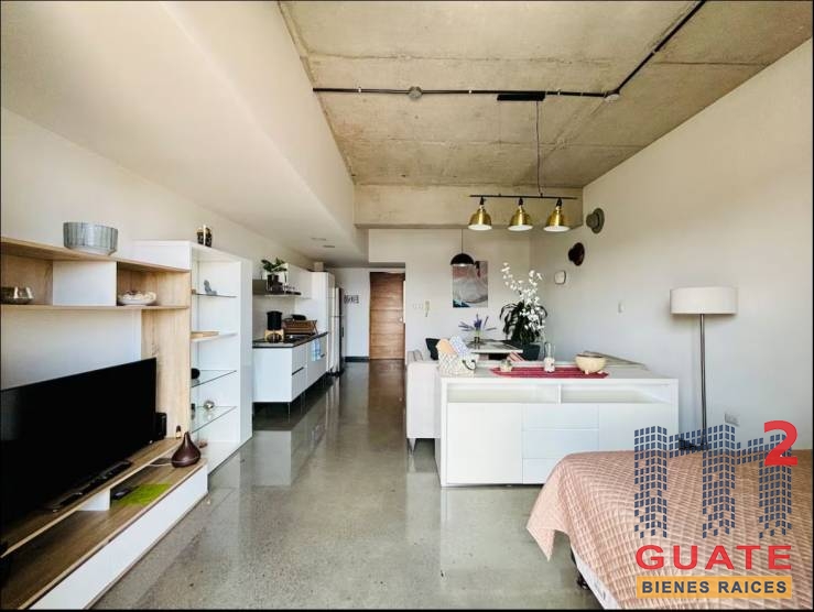 M2Guate-R10340-Apartamento-en-Renta-Guatemala-Zona-04