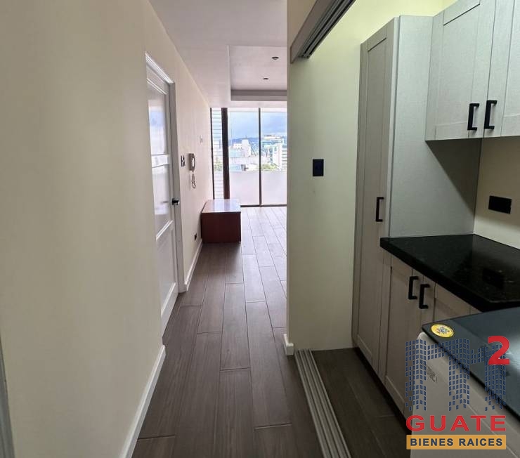 M2Guate-R10351-Apartamento-en-Renta-Guatemala-Zona-10