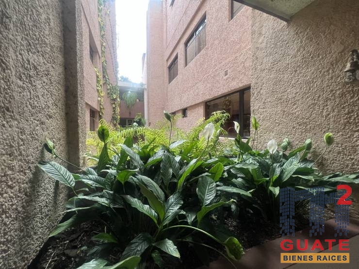 M2Guate-R10381-Apartamento-en-Renta-Guatemala-Zona-15
