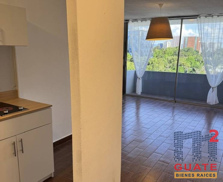 M2Guate-R10486-Apartamento-en-Renta-Guatemala-Zona-09