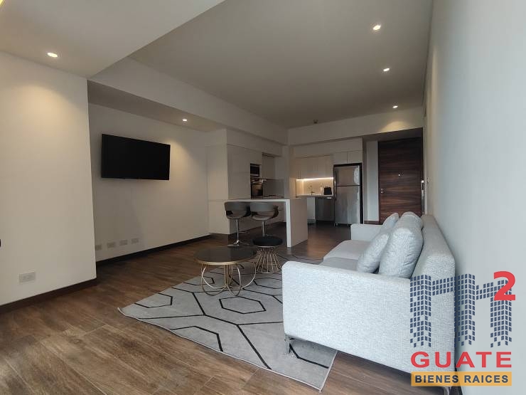 M2Guate-R10488-Apartamento-en-Renta-Guatemala-Zona-10