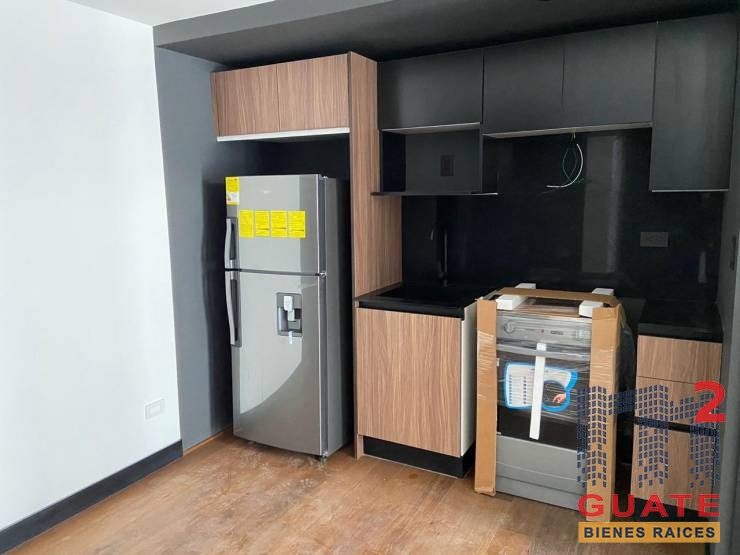 M2Guate-R10493-Apartamento-en-Renta-Guatemala-Zona-11