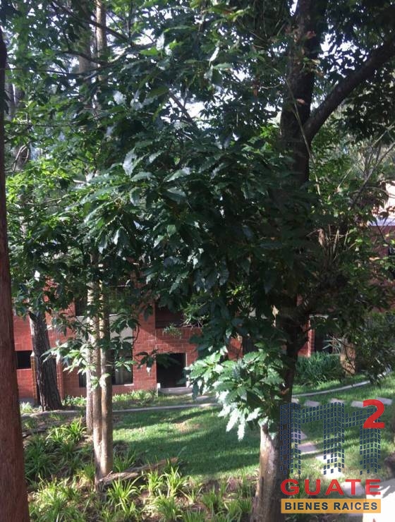 M2Guate-R10509-Apartamento-en-Renta-Santa-Catarina-Pinula