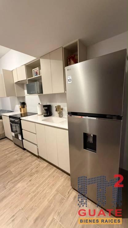 M2Guate-R10510-Apartamento-en-Renta-Guatemala-Zona-04