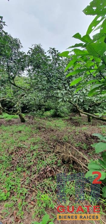 M2Guate-V10138-Terreno-en-Venta-Santa-Catarina-Pinula
