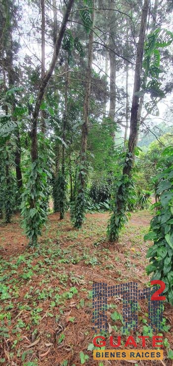M2Guate-V10138-Terreno-en-Venta-Santa-Catarina-Pinula