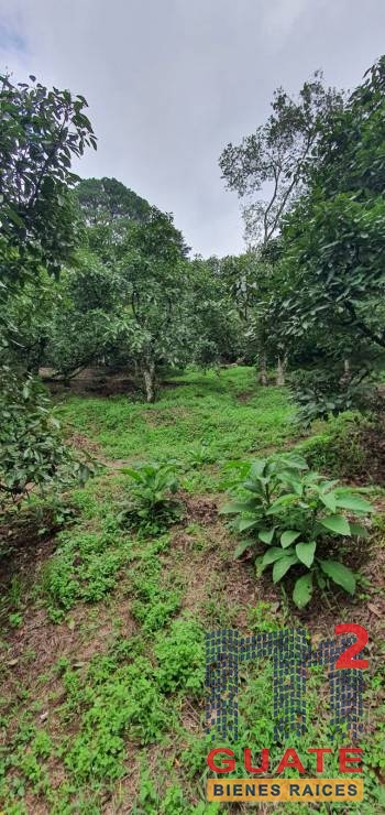 M2Guate-V10138-Terreno-en-Venta-Santa-Catarina-Pinula