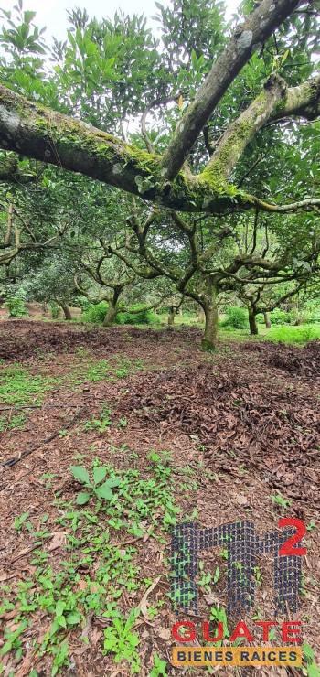 M2Guate-V10138-Terreno-en-Venta-Santa-Catarina-Pinula