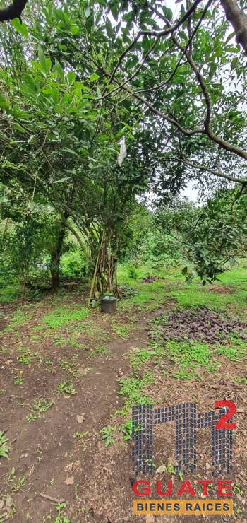 M2Guate-V10138-Terreno-en-Venta-Santa-Catarina-Pinula