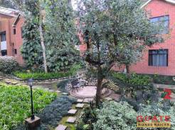 M2Guate-R10517-Apartamento-en-Renta-Carretera-a-El-Salvador