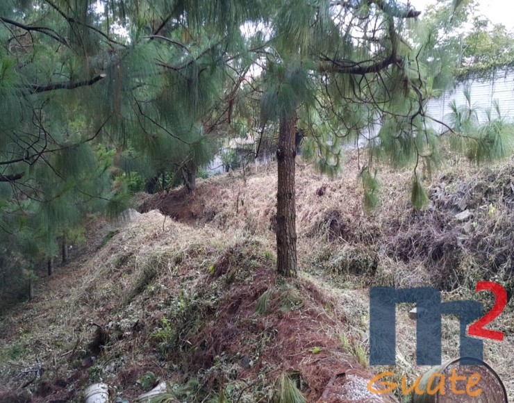 M2Guate-V3101-Terreno-en-Venta-Fraijanes