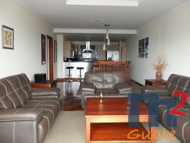 M2Guate-R3665-Apartamento-en-Renta-Guatemala-Zona-14