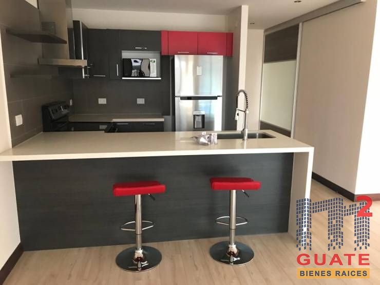 $1,000.00 - Zona 10 - Apartamento en Renta - R4329