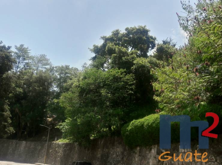 M2Guate-R6211-Casa-en-Renta-Carretera-a-El-Salvador